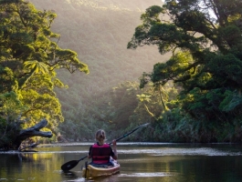 Punakaiki Canoes – River Kayaking in Paparoa National Park